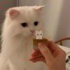 DAY17173-【TITAIKE】T太科网