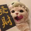 qazplmwsx-【TITAIKE】T太科网