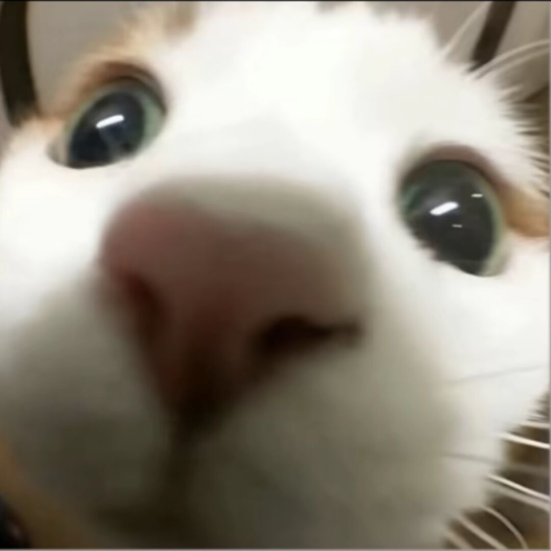 qq_怪我好啦^13