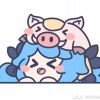 Starr_fan0131-【TITAIKE】T太科网