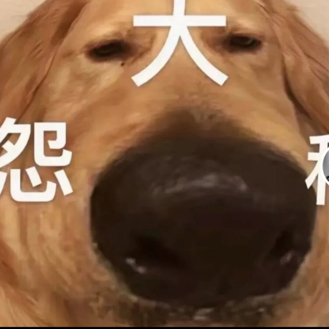 qq_越轨24