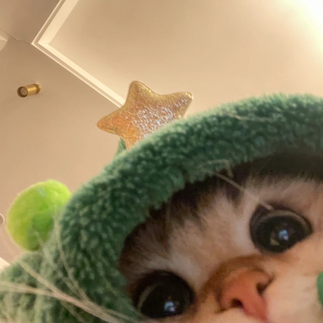 qq_古德拜.15