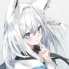 Thexiaowang-【TITAIKE】T太科网