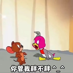 飞雀