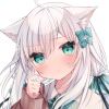 function-【TITAIKE】T太科网