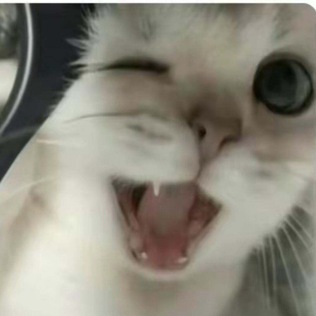 qq_止此42