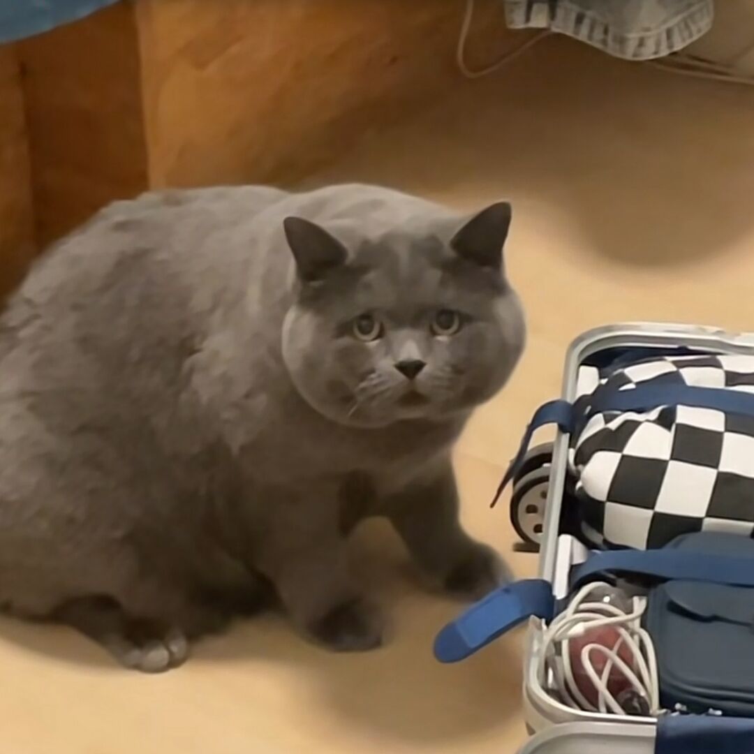 qq_.56