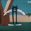 tgrrfd-【TITAIKE】T太科网