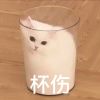 长弓-【TITAIKE】T太科网