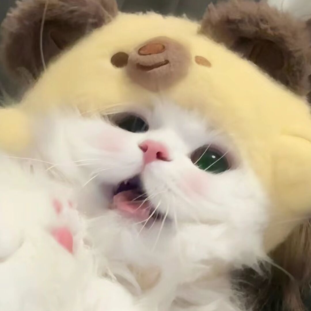 用户头像