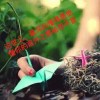 huwuwen-谷酷资源网