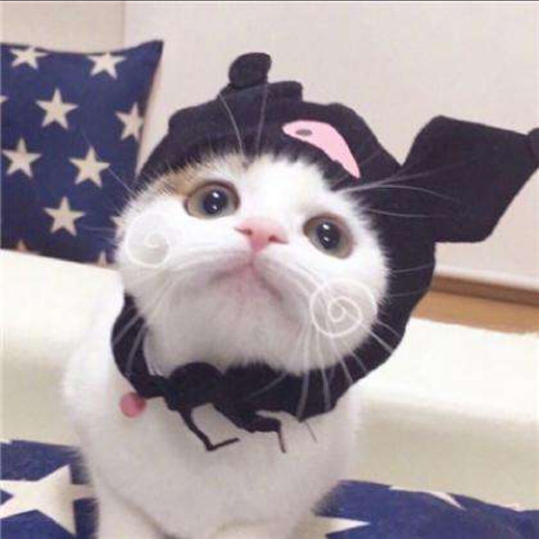 qq_害61