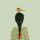 Saner