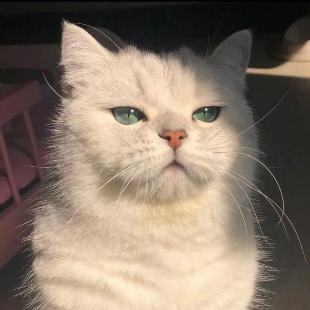 qq_京城十二44