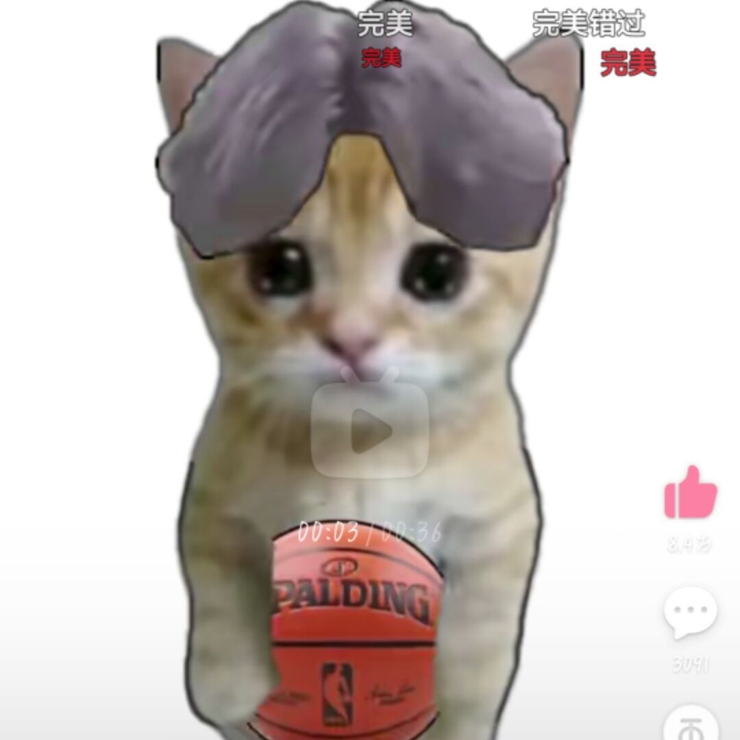 qq_鸡你太美89