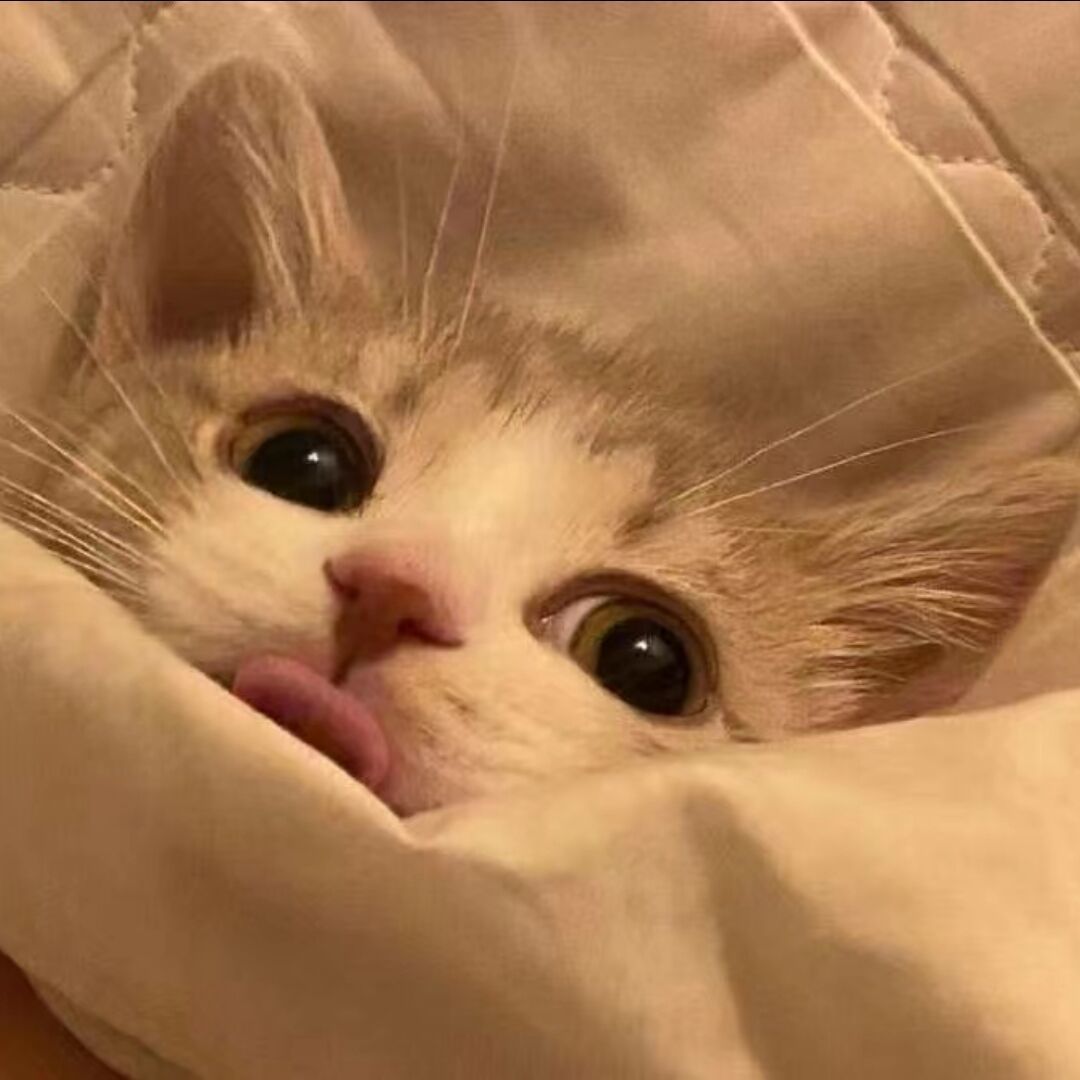 qq_喜81