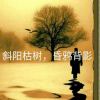 我的头像