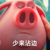 TgsG34-【TITAIKE】T太科网