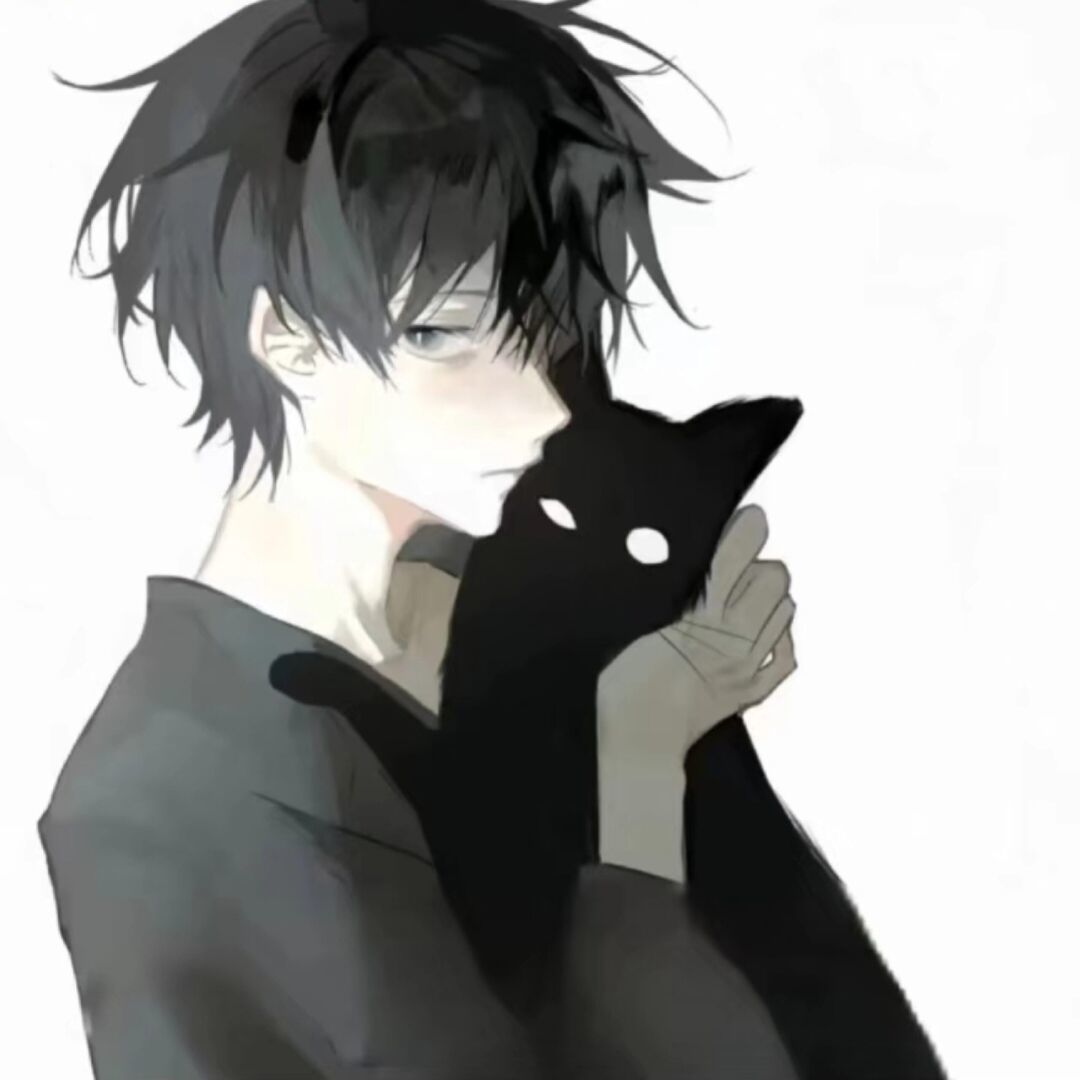 qq_D55