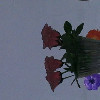 qq_202272