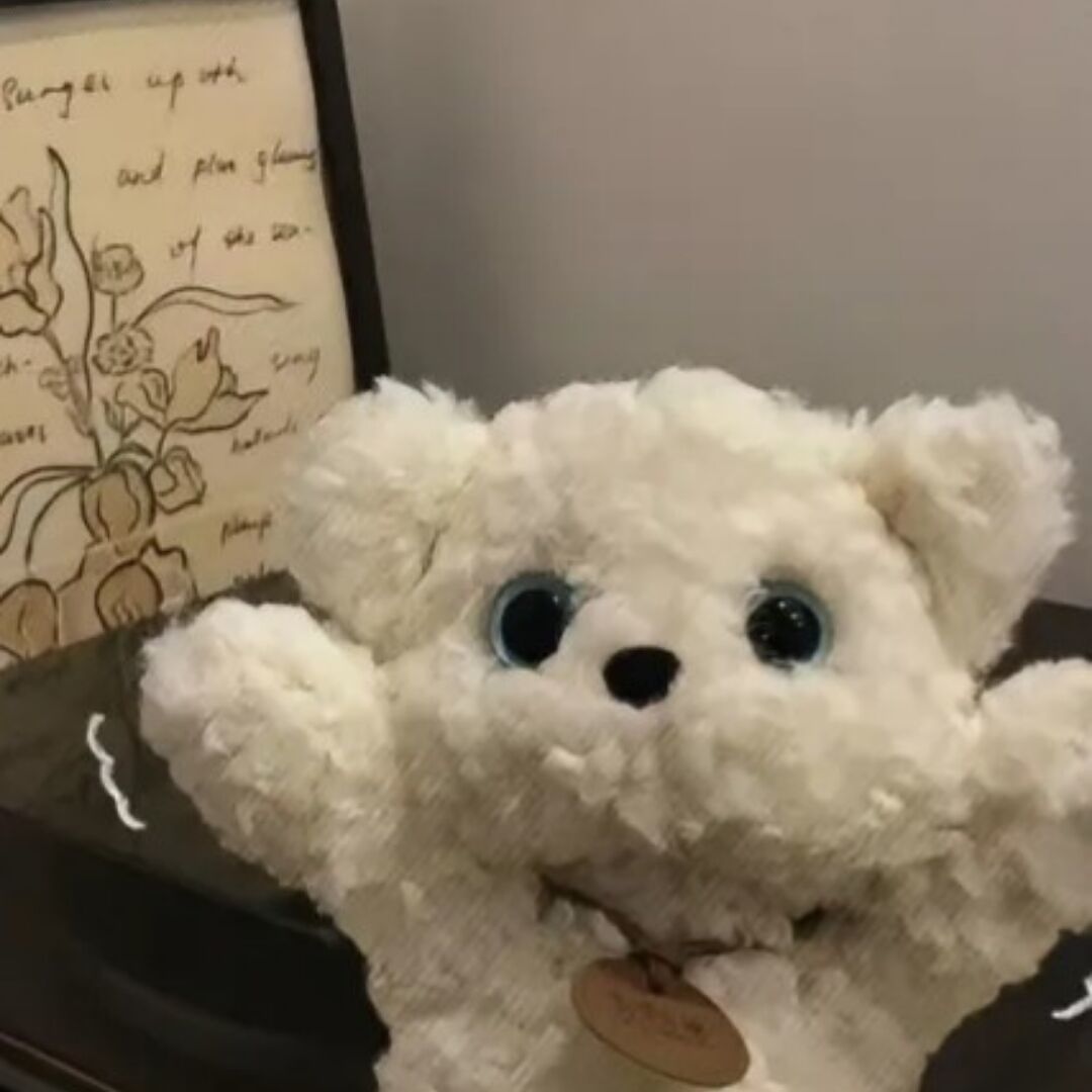 用户头像