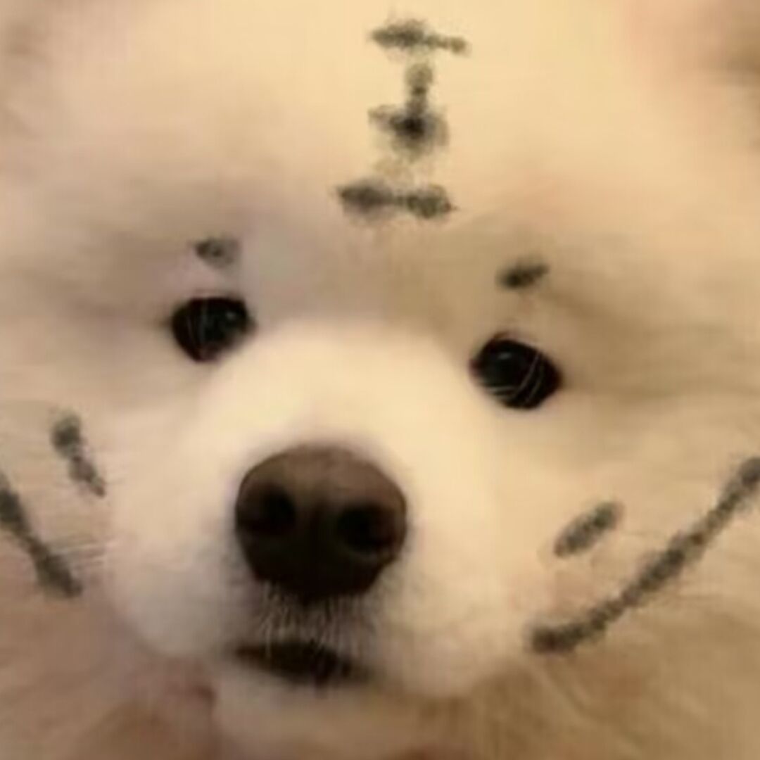 qq_杰尼龟82