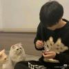 用户30919381-极客酷