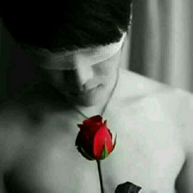 qq_未来72