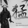 shen815155232-【TITAIKE】T太科网
