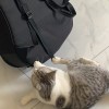 lzr13318050524-【TITAIKE】T太科网
