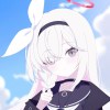 Honkail-【TITAIKE】T太科网