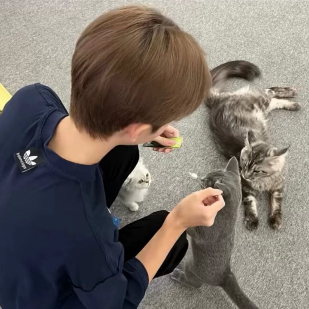 用户头像