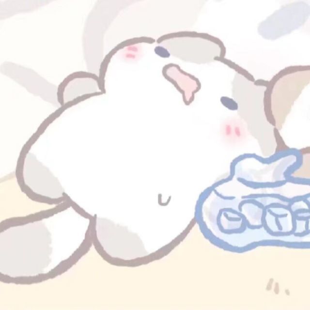 星尘网络科技工作室