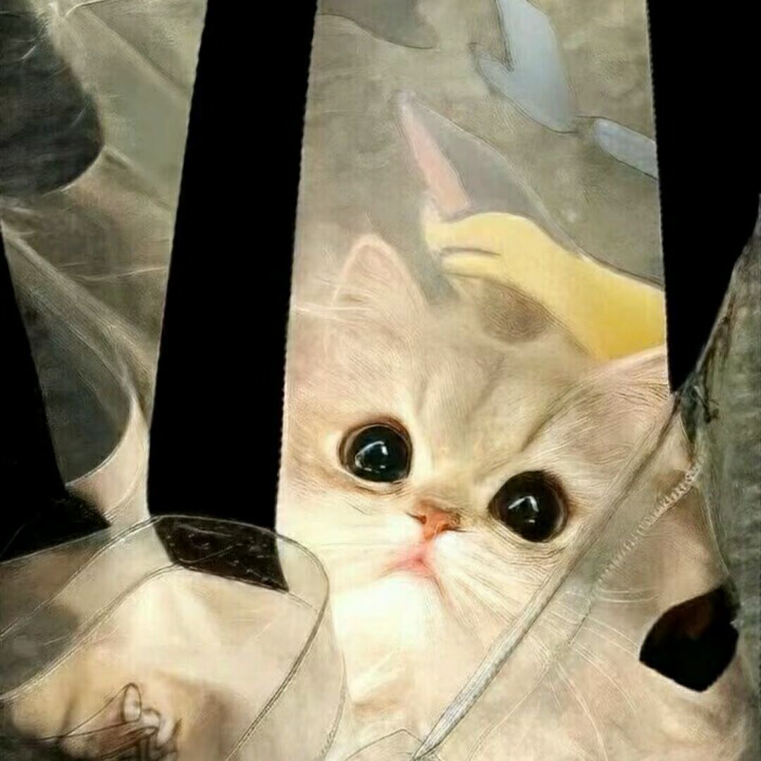 qq_F.95