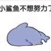 无人知我心的头像