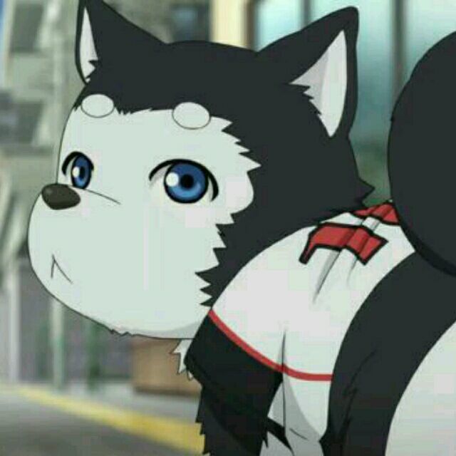 qq_无涯97