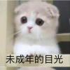 shenmeng1110-【TITAIKE】T太科网