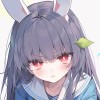 cstbo-【TITAIKE】T太科网