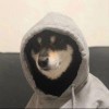 sdkdkfjls-【TITAIKE】T太科网