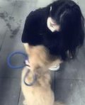 qq_A73