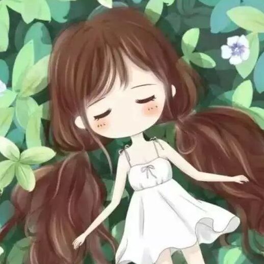琴