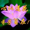 phak kadl-【TITAIKE】T太科网