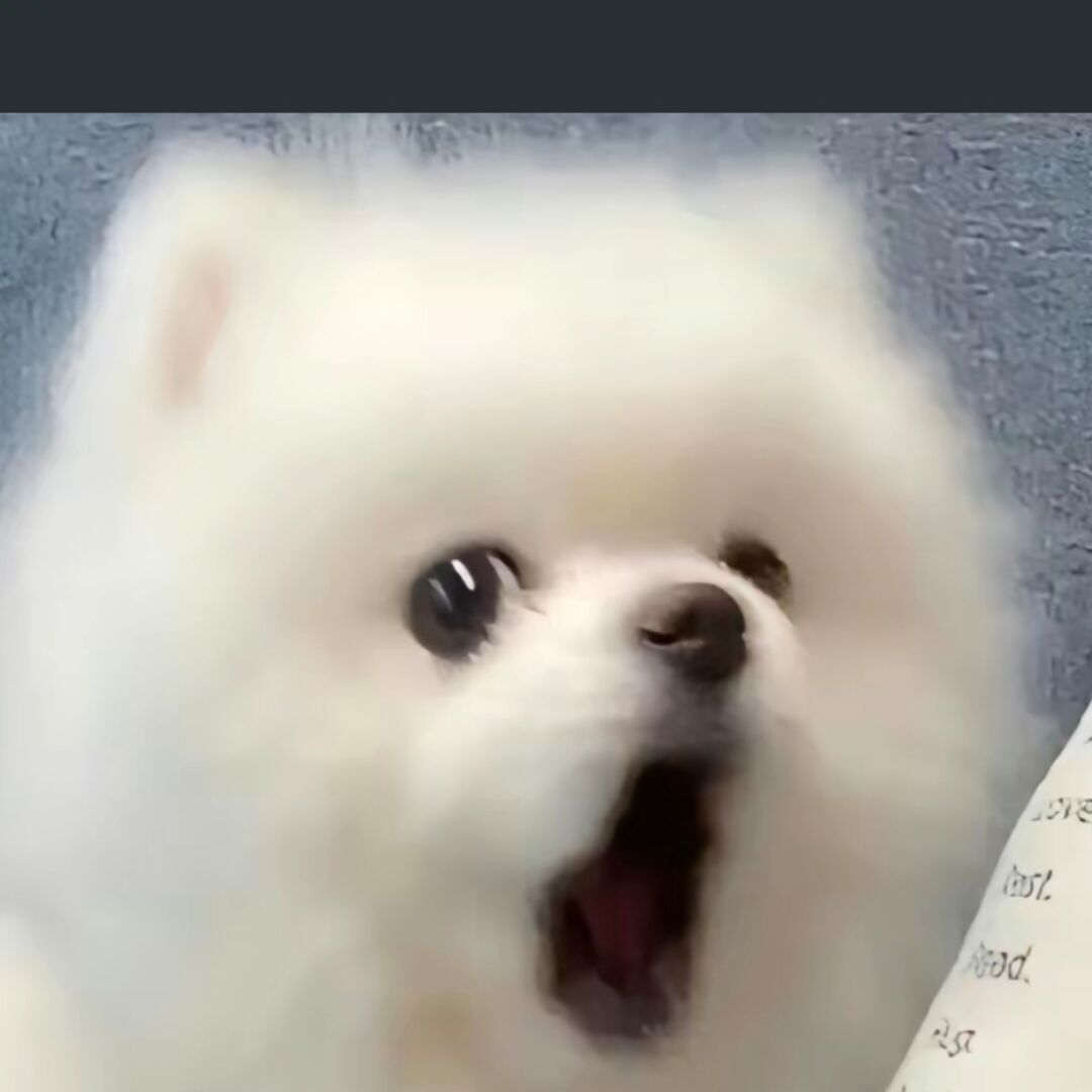 qq_我是一个刀哥58