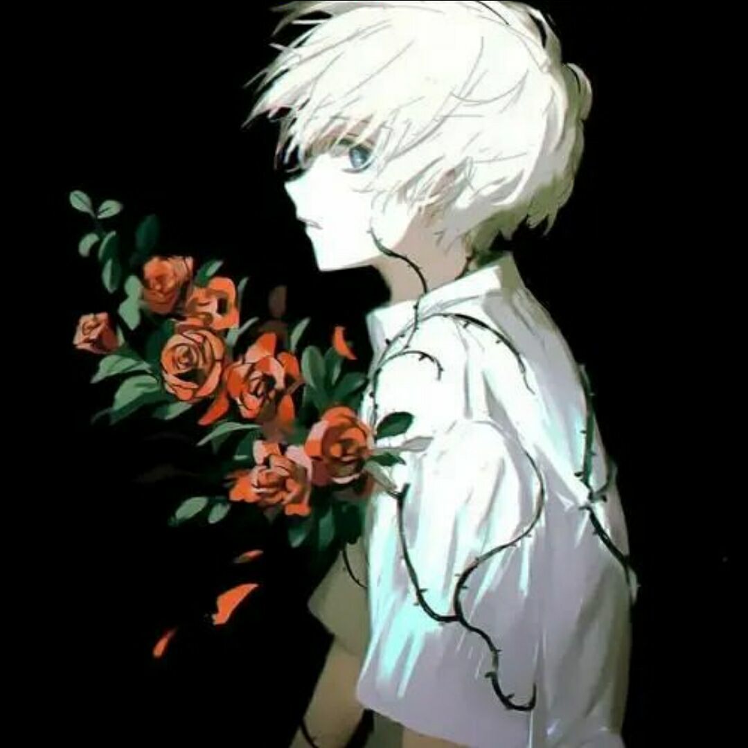 qq_i酷46
