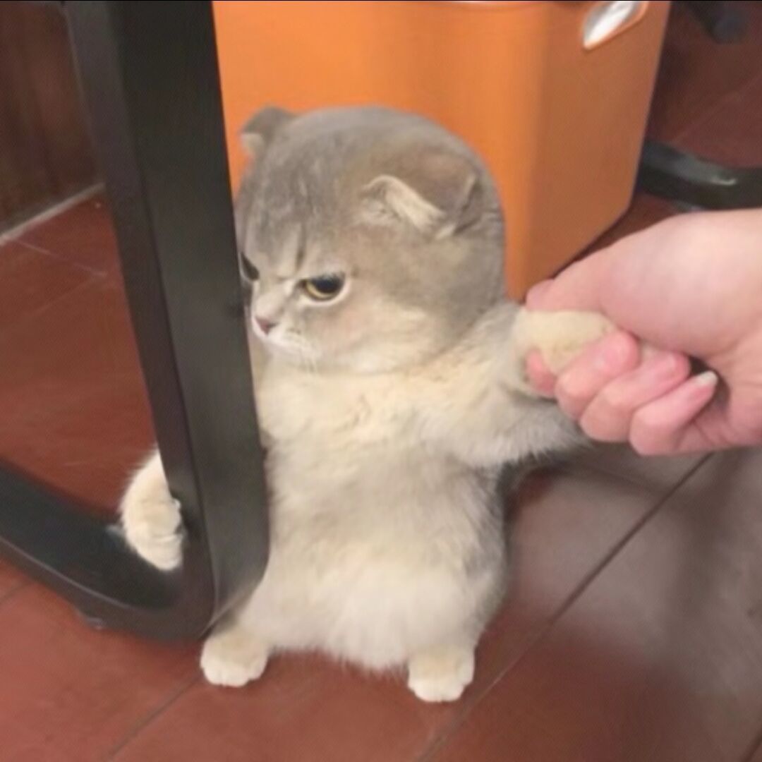 qq_弈于.86