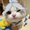 luckyfish-【TITAIKE】T太科网