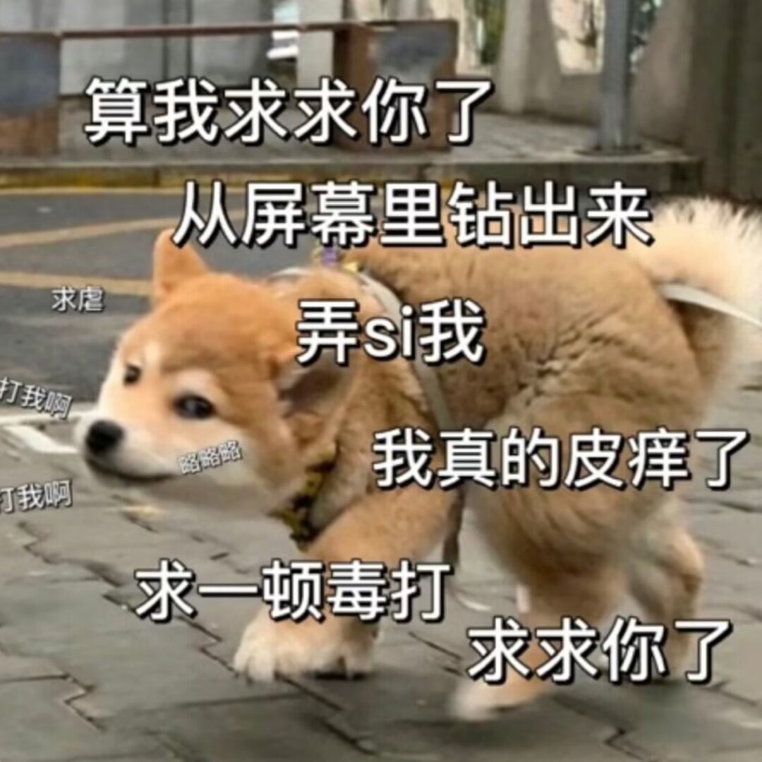 qq_☆66