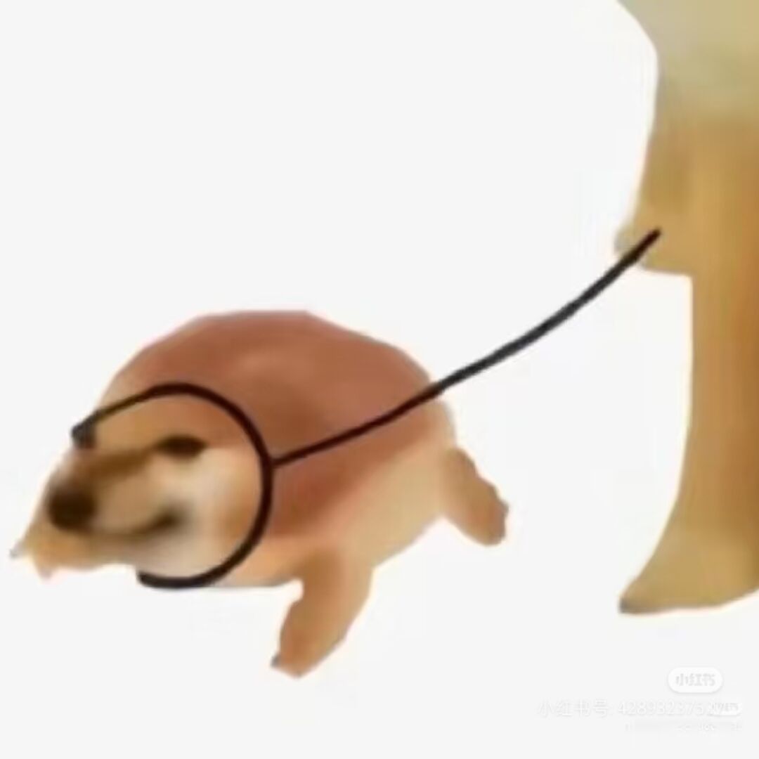 qq_孟千时·伯德70