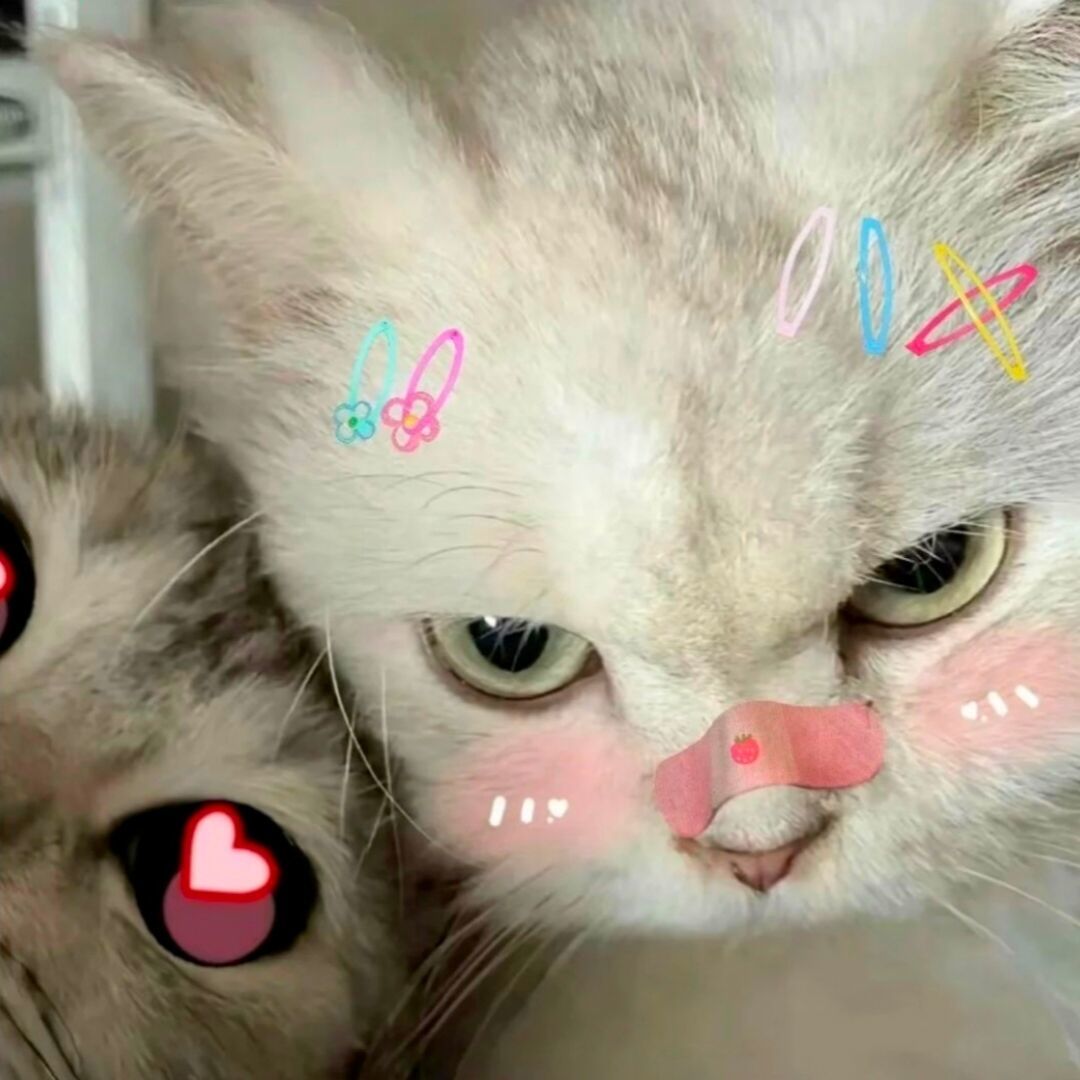 qq_海绵宝宝.20