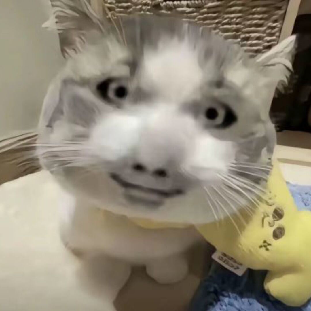 qq_.77